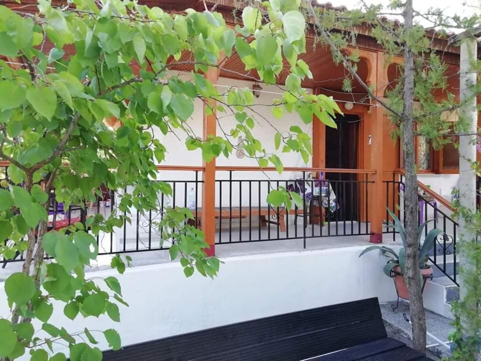 Zara's Holiday home